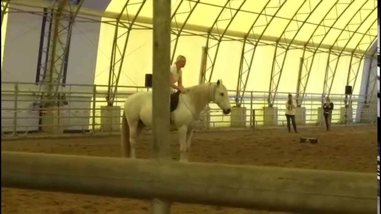 Vareto und Klaudia, Freestyle bridleless Parelli 