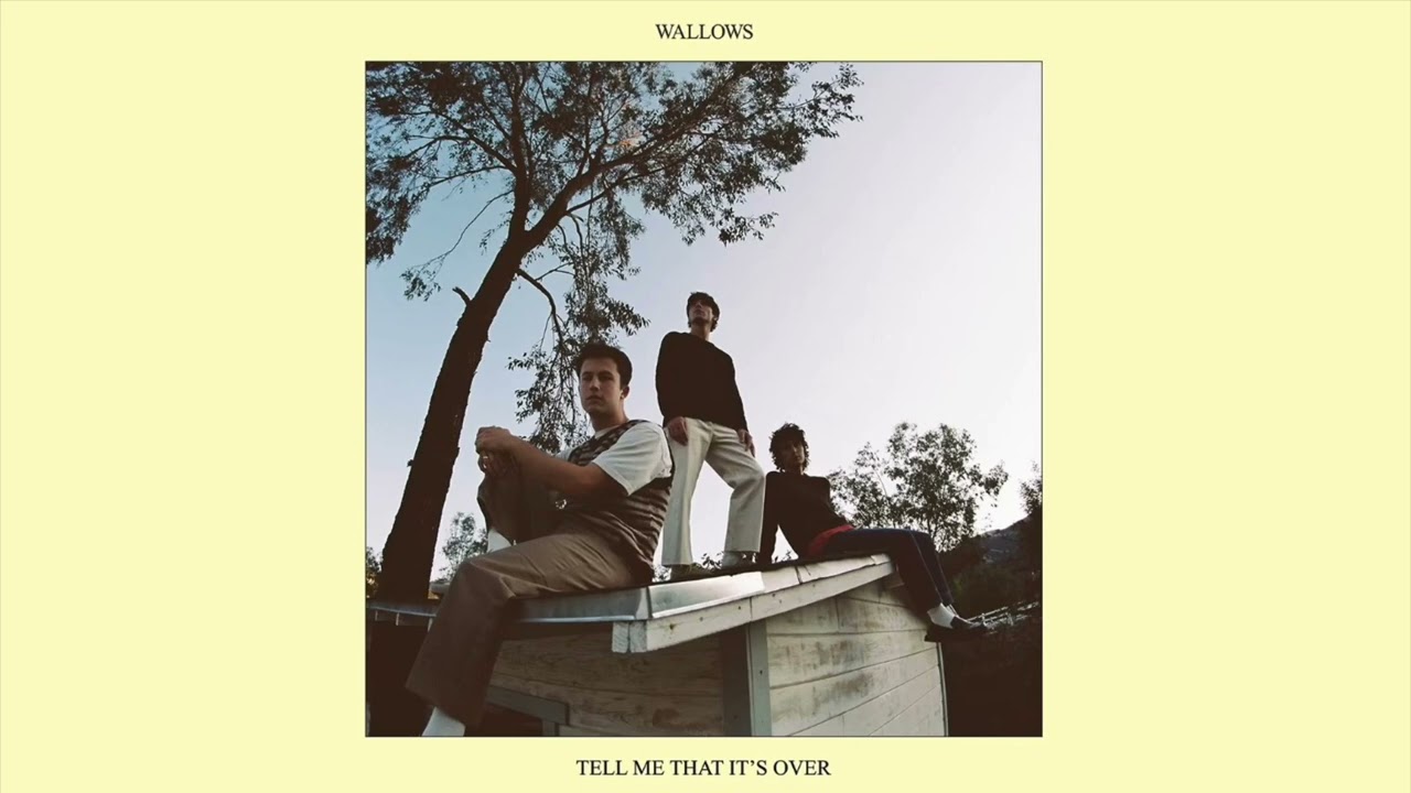 Wallows - That’s What I Get (ACAPELLA)