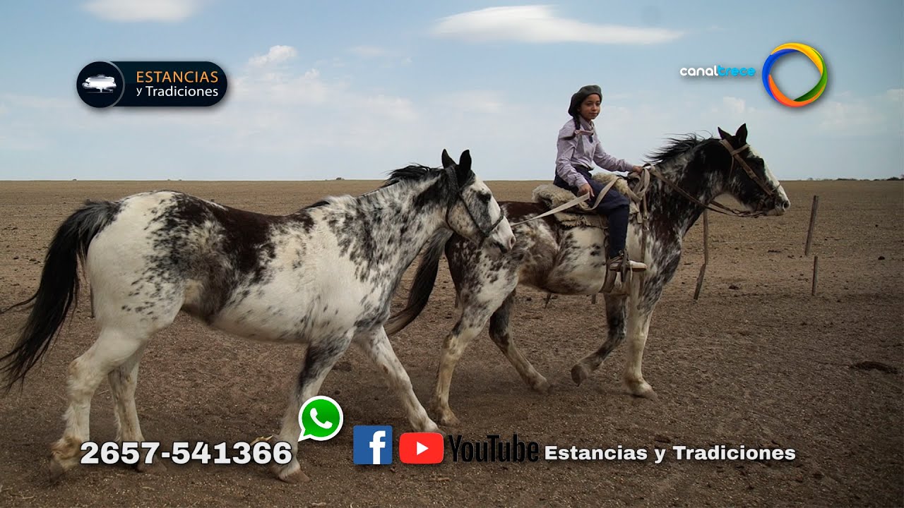 113 Fernanda 
