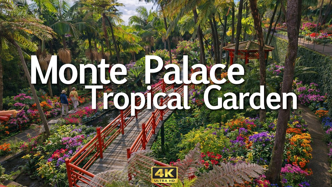 🇵🇹  Cable Car Ride to Monte Palace Tropical Garden Walk Tour | Funchal, Madeira  Portugal 🌿 4K