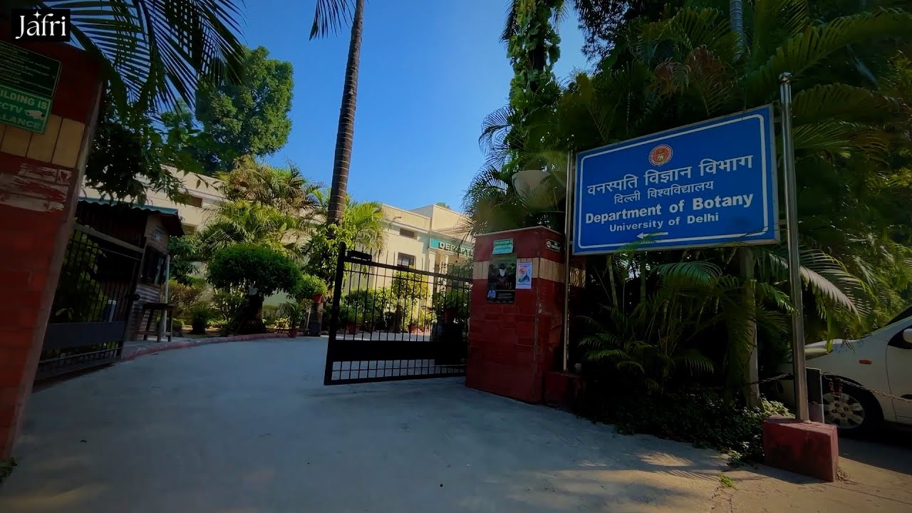 AROUND THE ARAUCARIA | DEPARTMENT OF BOTANY , DU INDIA |