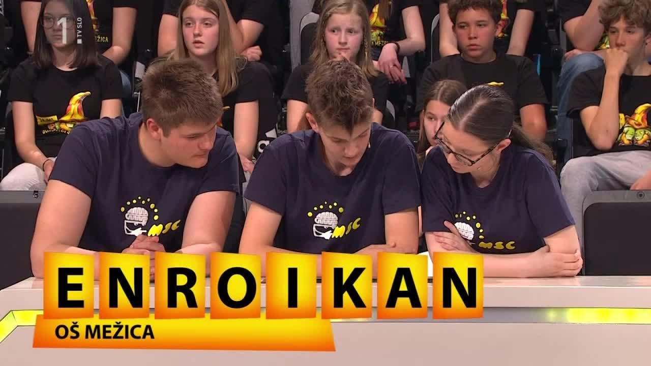 Možganski labirint: OŠ Mežica in OŠ dr. Vita Kraigherja LJ