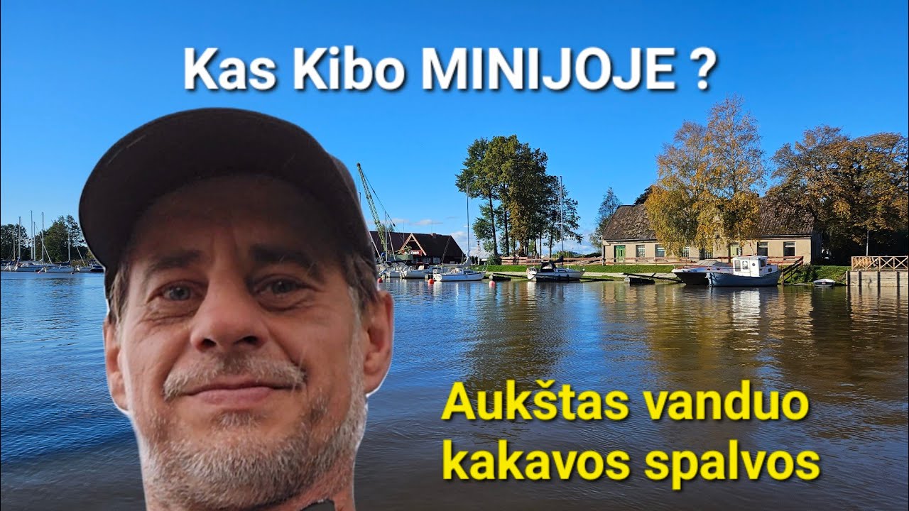 Žvejyba Minijoje. Mingės kaime. Situacija šiuo metu nekokia. #fishing #zvejyba #lituania #subscribe
