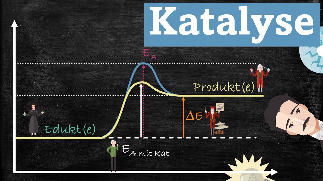 Einfach erklärt: Katalyse anhand exothermer und endothermer Energiediagramme