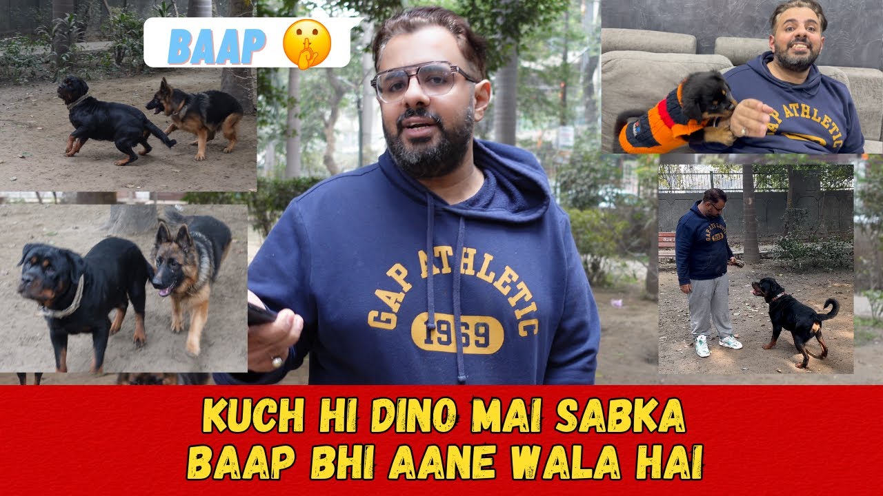 Kuch Hi Dino Mein Sabka Baap Aaney Walla Hain.  #dogs #namitaology #rottweiler