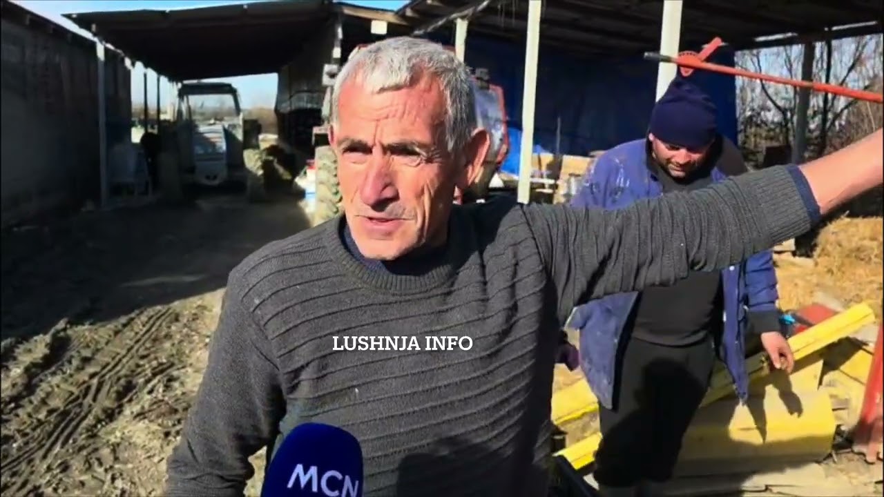 Blegtorëve nuk u merret qumështi nga kompania Lufra me pretendimin se është me aflatoksonë,ulet çmim