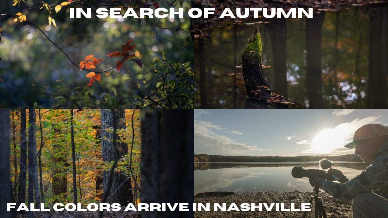 Chasing Fall Foliage | Landscape Photography Inspiration & Exploring  a Secret Forest Pond