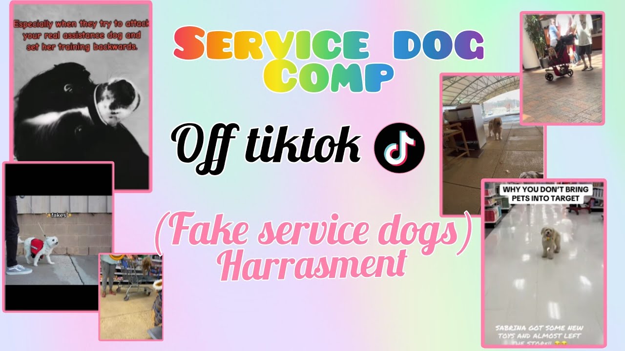 Service dog tiktok comp! Fake service dog harrasment / Credits to original owners