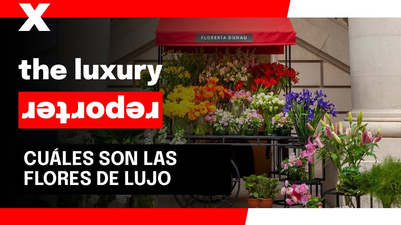 Florer&iacute;a de Lujo: &iquest;cu&aacute;les son las flores m&aacute;s caras del mundo?