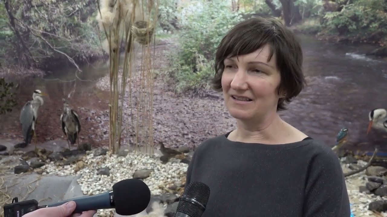 Divočina pri riekach