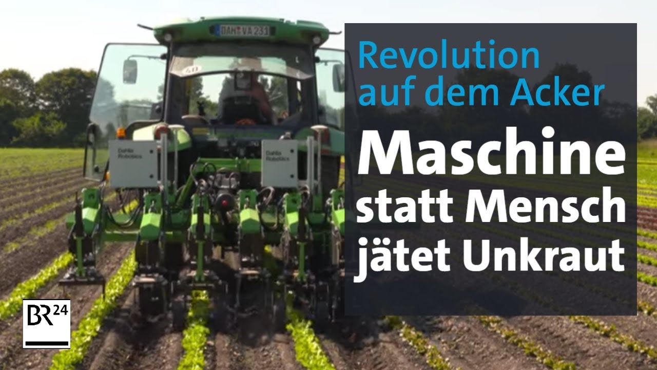 Händisches Unkraut-Jäten, Ade! Maschine übernimmt | Abendschau | BR24
