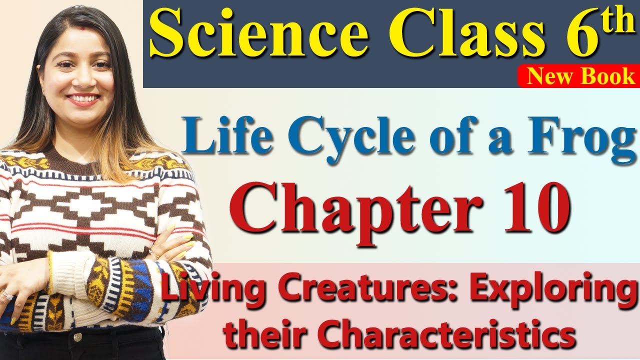 Life Cycle of a Frog Ch10 Living Creatures:Exploring their Characteristics Science Curiosity Class 6