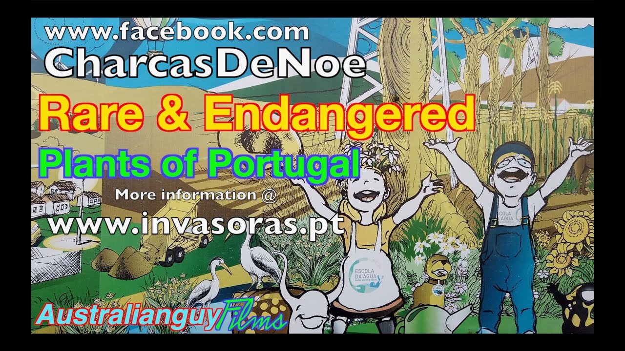 Rare and endangered plants Portugal