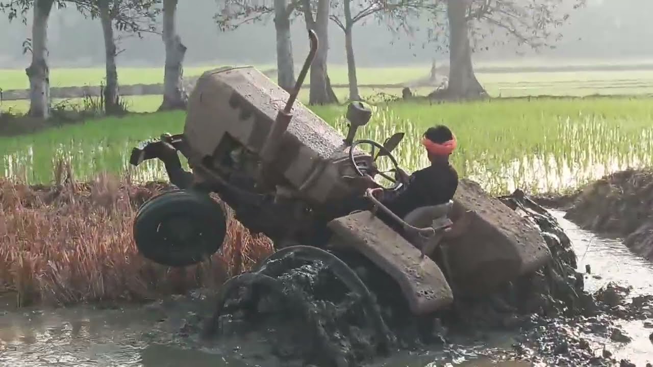 Massey Ferguson 241//2wd Padling with double cage