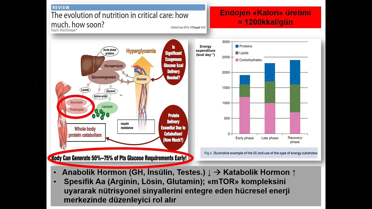 Prof. Dr. Çetin Kaymak - 