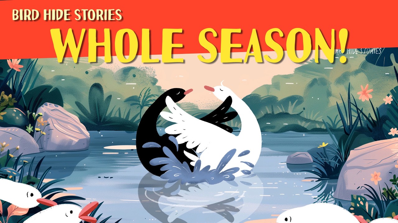 Experience the Feathered Adventure : All Season 1 | Bedtime Story | British English Learning