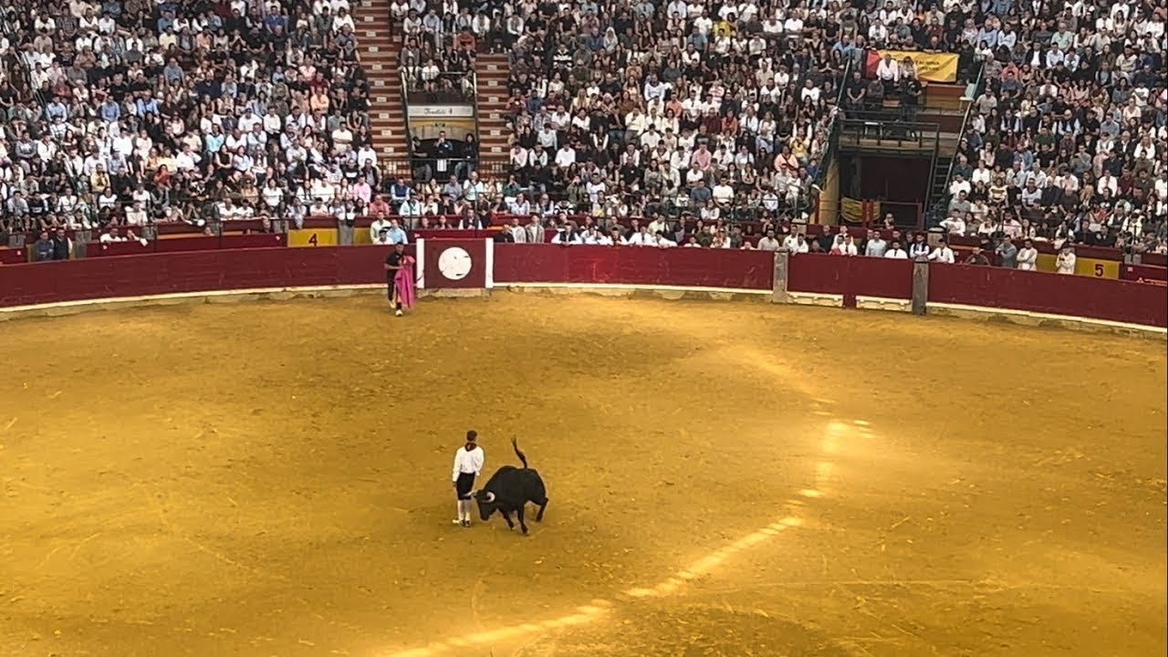ZARAGOZA 2025- XXV CAMPEONATO GOYESCO DE RECORTES 