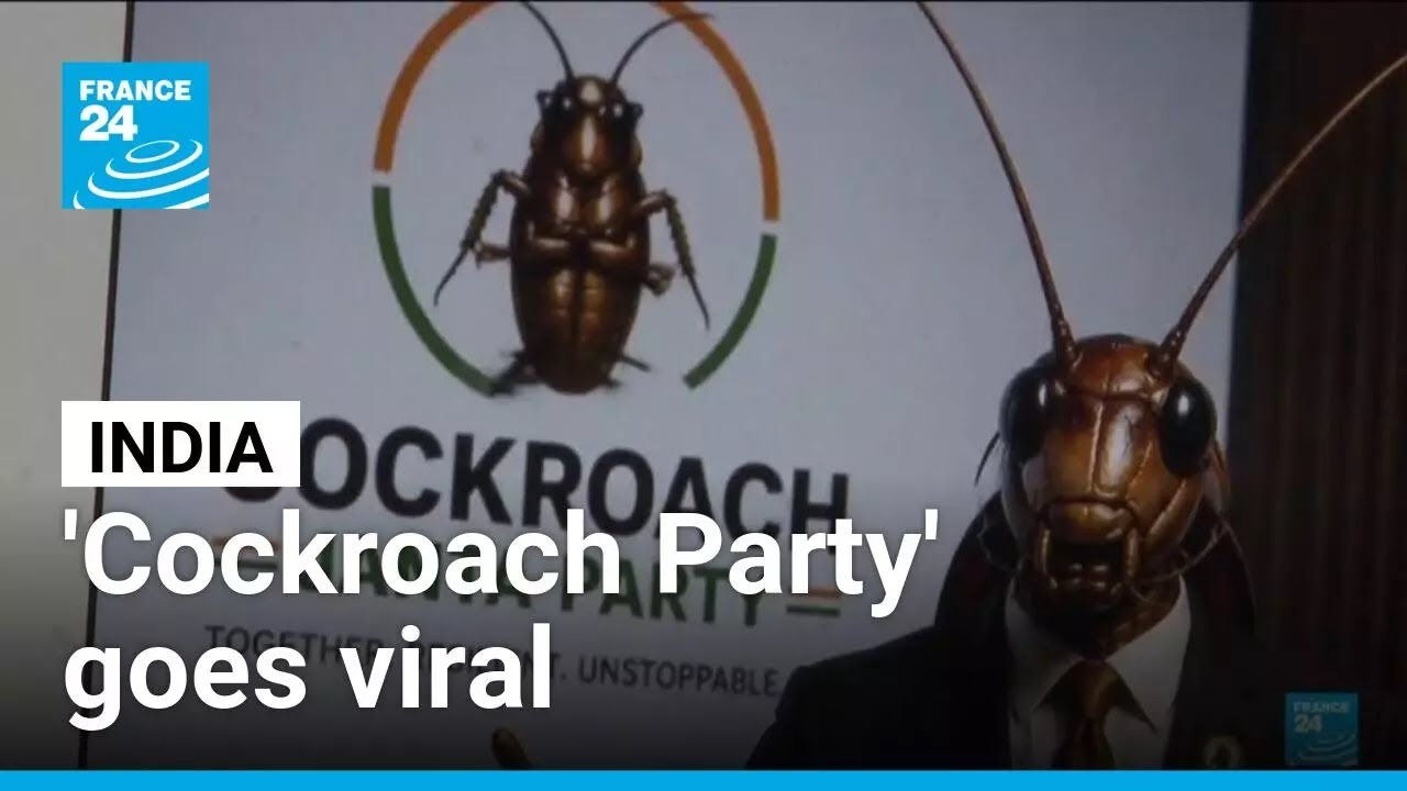 India&rsquo;s &ldquo;Cockroach Janta Party&rdquo; goes viral as Gen Z movement grows &bull; FRANCE 24 English