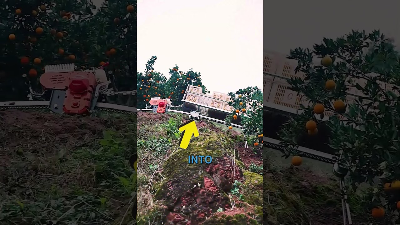 Genius Monorail: Making Produce Transport in the Mountains Easy!