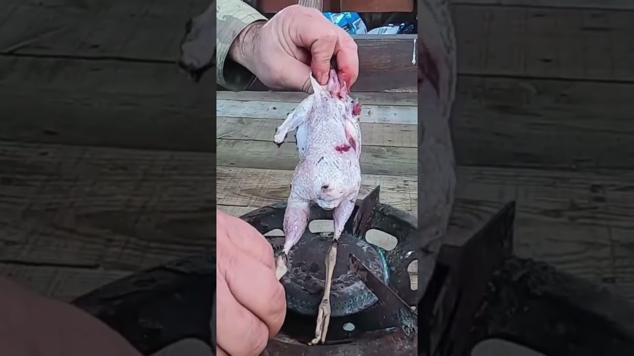 &Ccedil;ULLUK TEMİZLEME VE PİŞİRME | WOODCOCK | HUNTİNG | COOKİNG #shorts