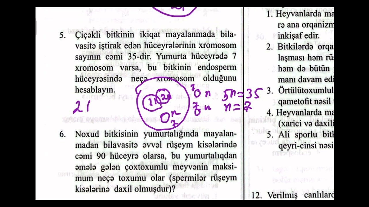Güven ontogenez açıq tipli test tapsırıqların ızahı