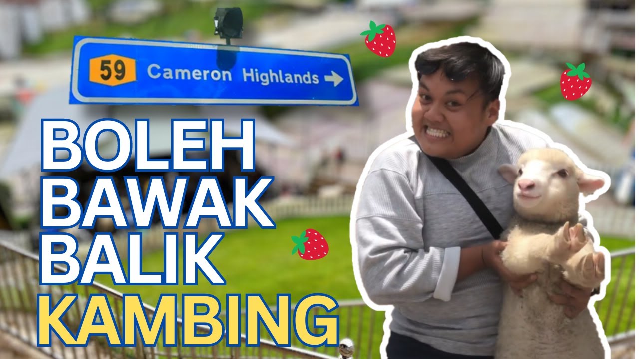 Vlog Bercuti TANPA KELUAR MODAL ke CAMERON HIGHLAND
