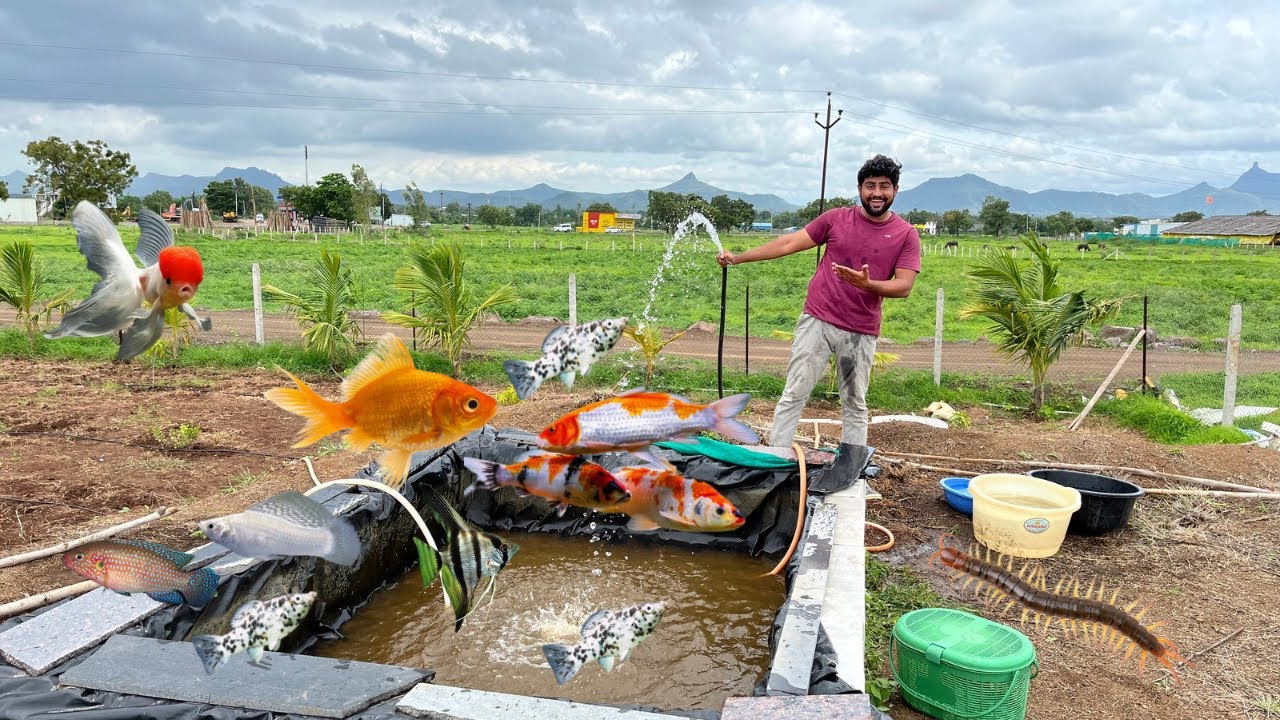 Sara Pani Nikalna Pada 😧 #fishpond