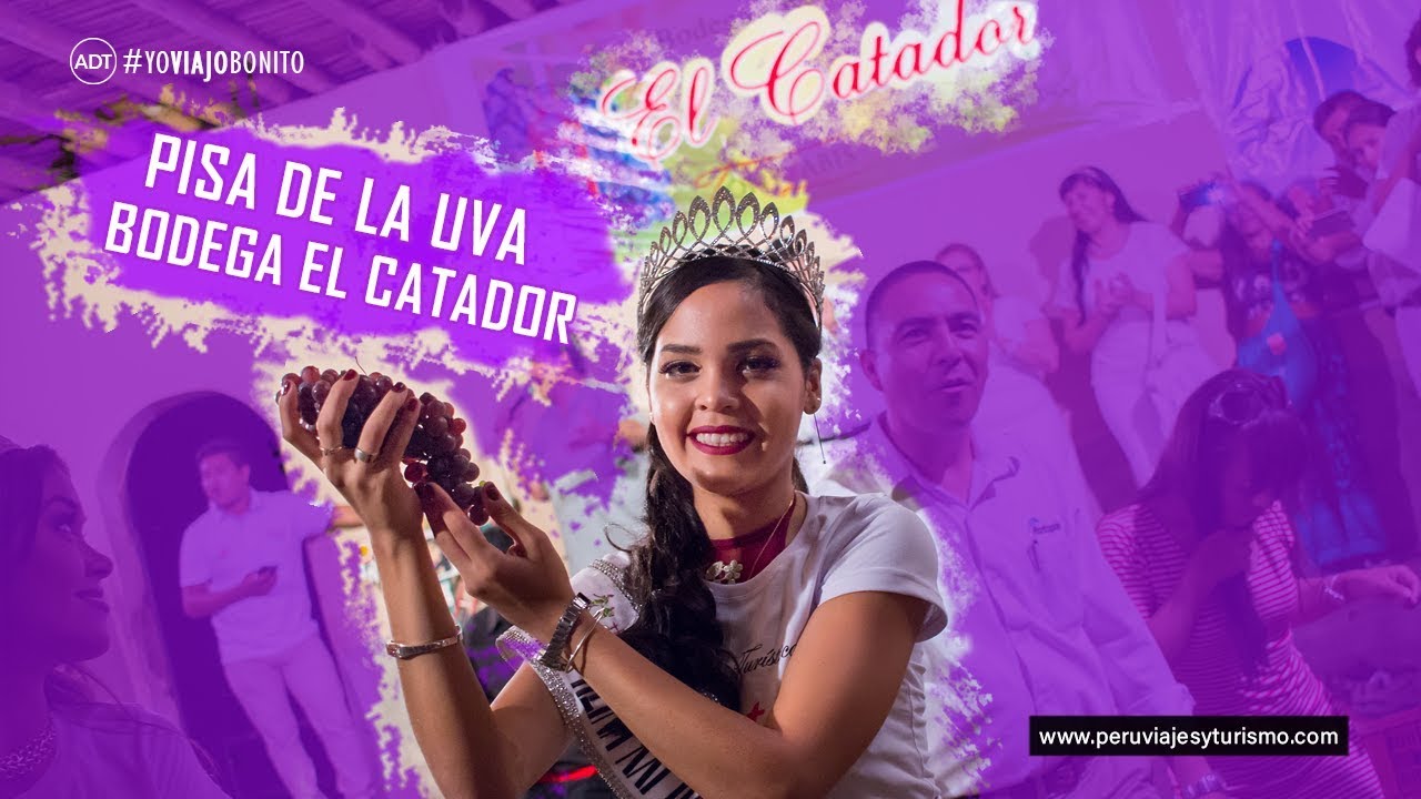 Pisando Uva en la Bodega El Catador, Vendimia de Ica 2018
