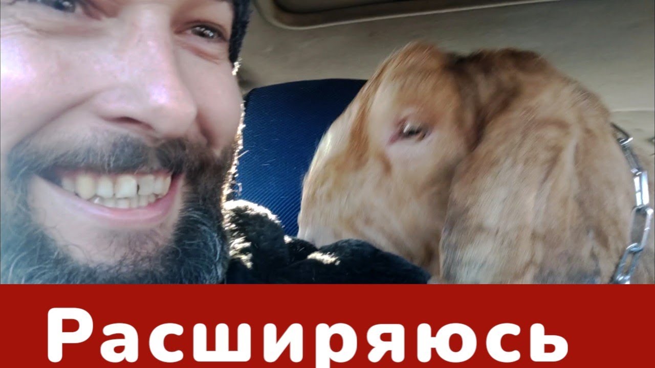 все смеялись когда мы ехали с ним в обнимку, купил козла, реакция коз на козла