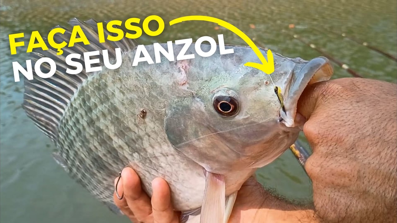 🔴Use essa técnica e tenha ótimos resultados na sua pescaria| Pescar Hoje Oficial🦈