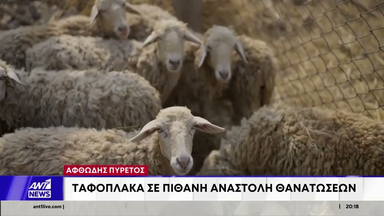 Ευρωπαίος Επίτροπος: Γιγαντιαίος ο κίνδυνος από την επικίνδυνη νόσο