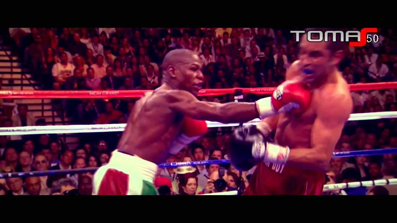 Floyd Mayweather Jr - Highlights 2013