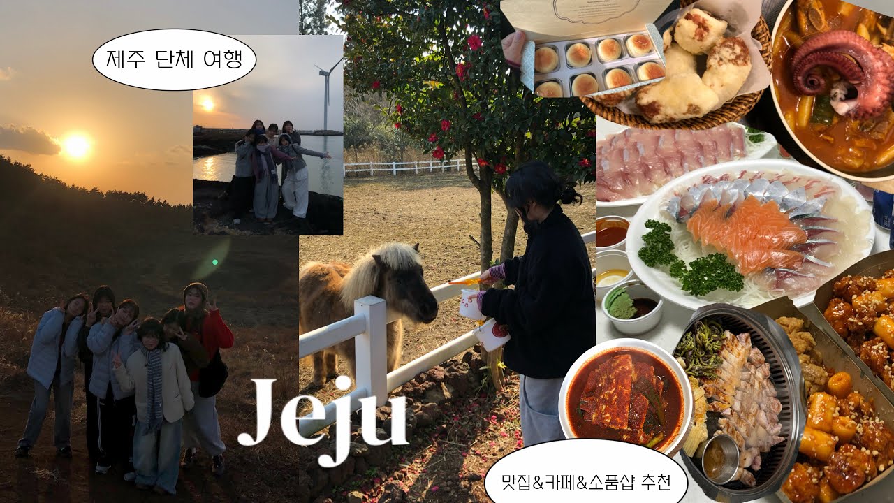 3박4일 떠난 겨울 제주여행 🍊🧡 | 공항 근처 맛집 추천 !!! | 소품샵•카페•목장🐴☕️🌺| 절대 실패없는 단체 여행 코스!!