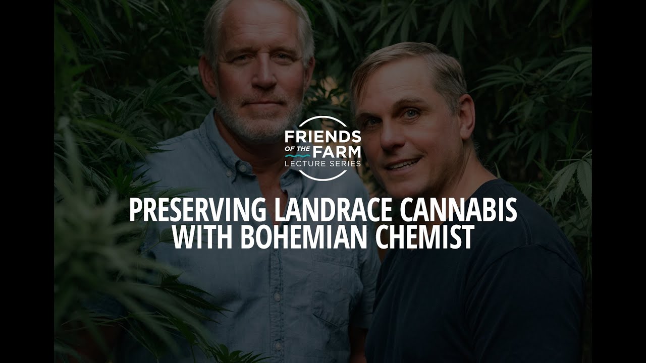 Preserving Landrace Cannabis with Bohemian Chemist