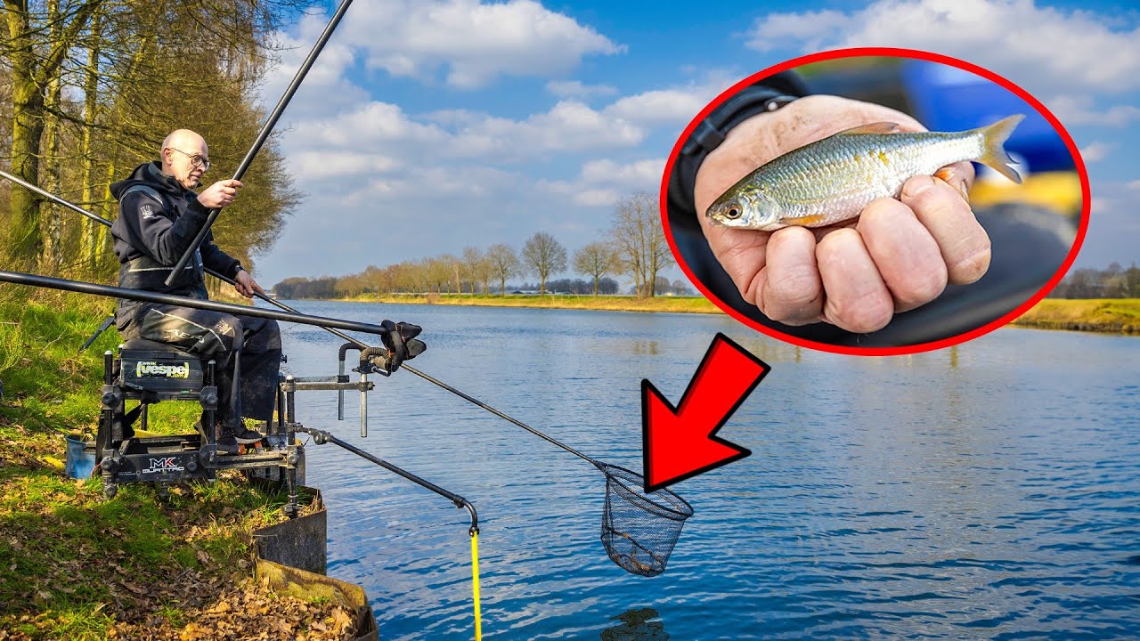VISblad TV &ndash; vaste hengel basics