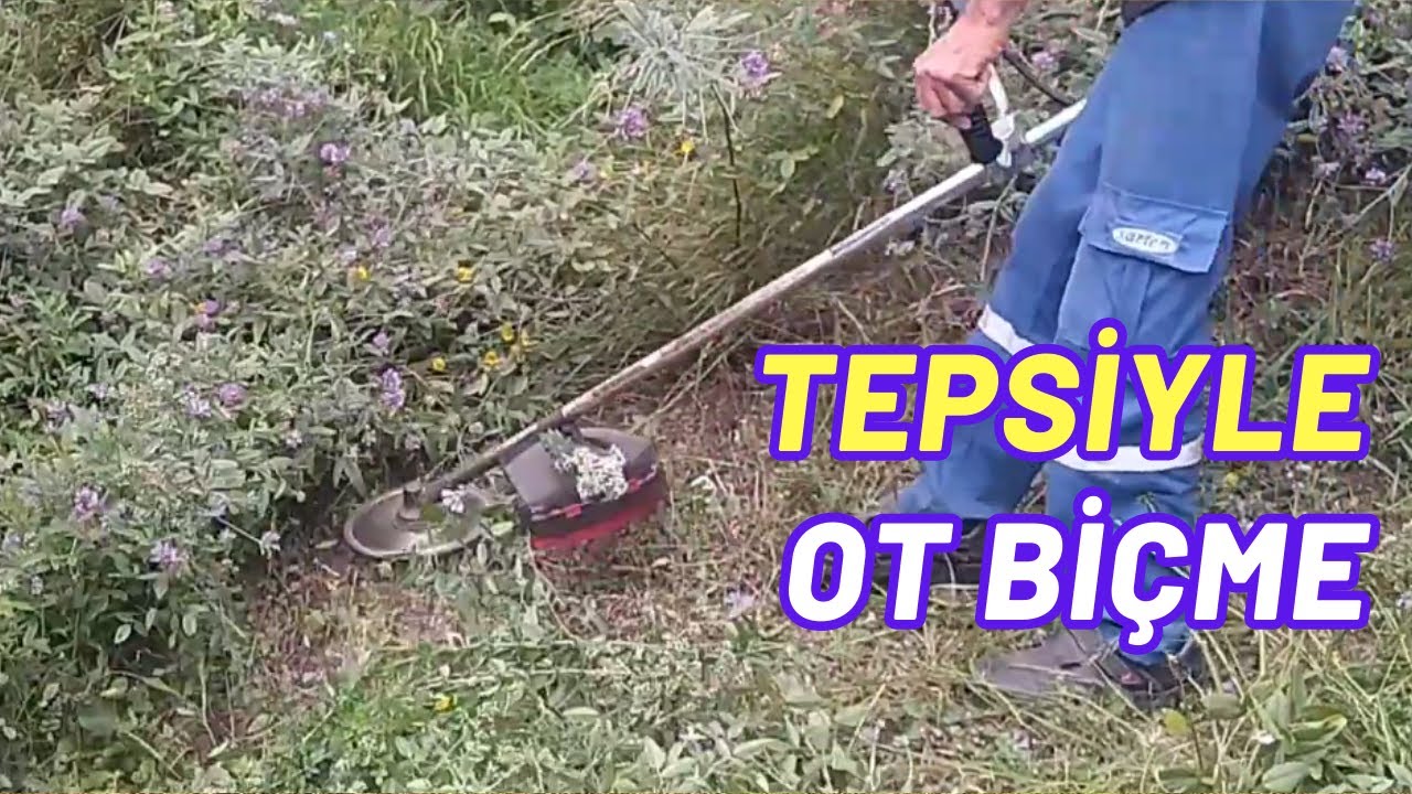 Tepsiyle Ot Biçme. Otlar Yere Yatmış, Tepsiyle Ancak Biçiliyor. Köyde İşler Nasıl Yapılıyor?