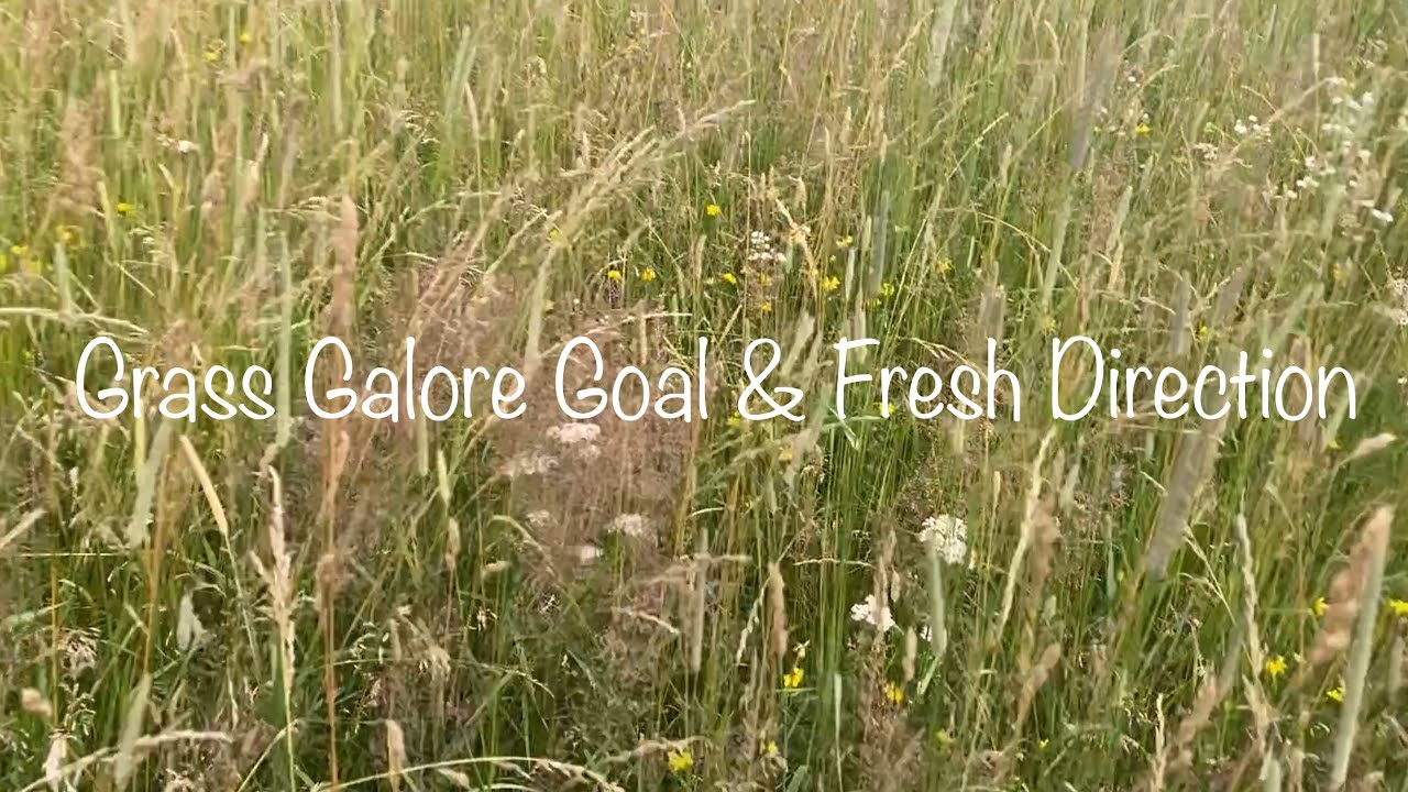 The Grass Galore Goal & A Fresh Direction
