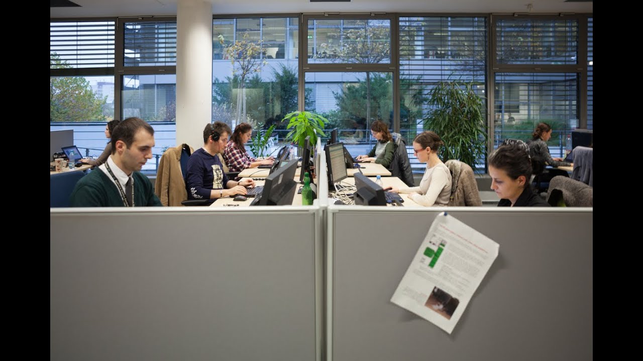 Business Support Services