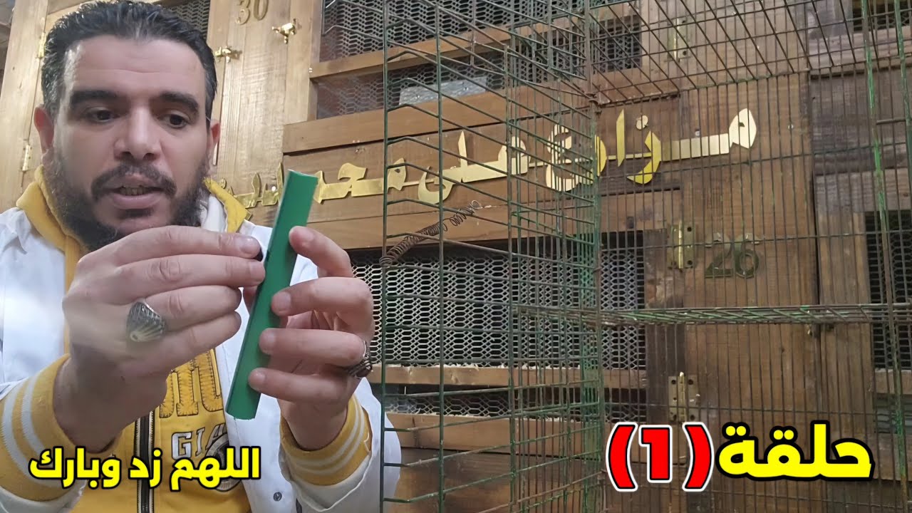 سلسلة ارانب علي محمدين.اولى خطوات النجاح شراء البطاريات او الاقفاص حلقة(1)