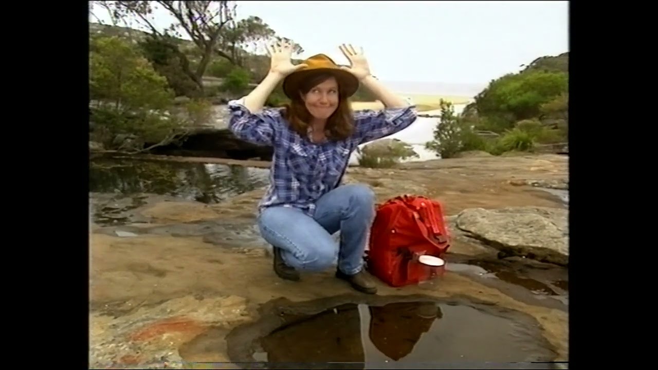 Play School - Bush Friday (1997) | Colin Buchanan, Angela Moore & Pauline McLeod | INCOMPLETE | 50p