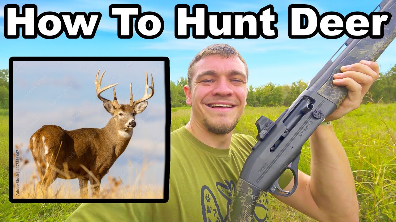 How To Hunt Deer For Beginners!