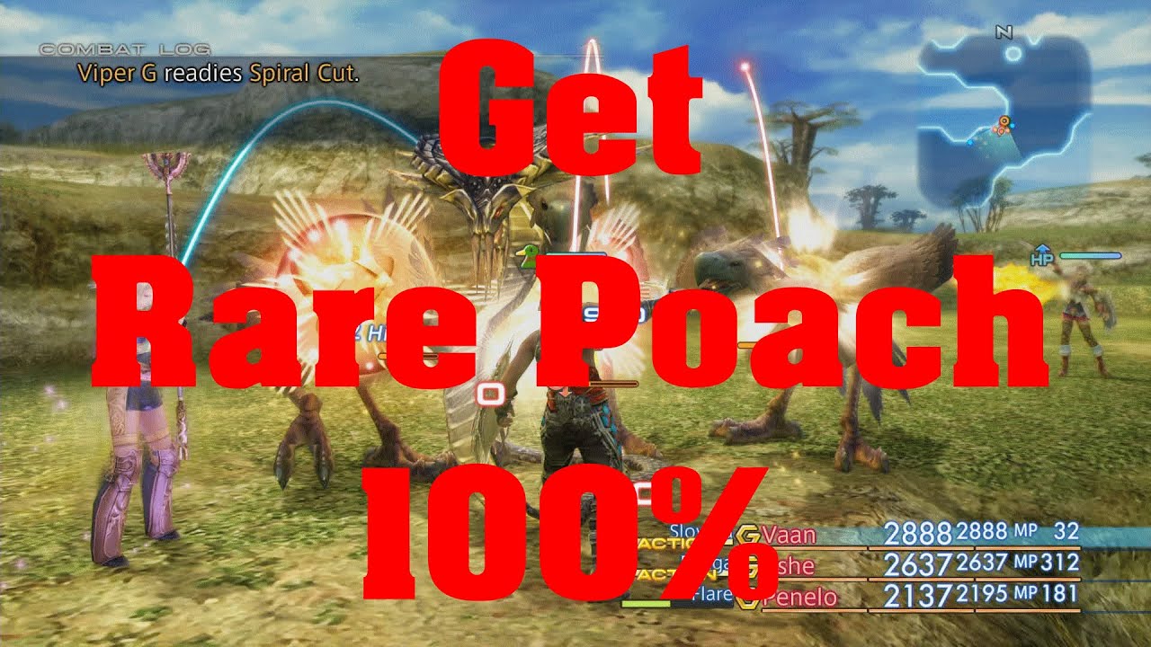 Final Fantasy XII Get Rare Poach Items 100%