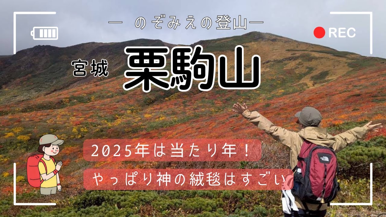 2025　宮城栗駒山の紅葉　これぞ神の絨毯 　＃登山女子　＃熊注意情報あり　＃てんくらC予報