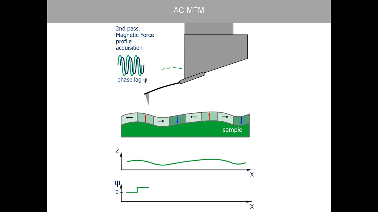 AC MFM. AFM Theory from NT-MDT