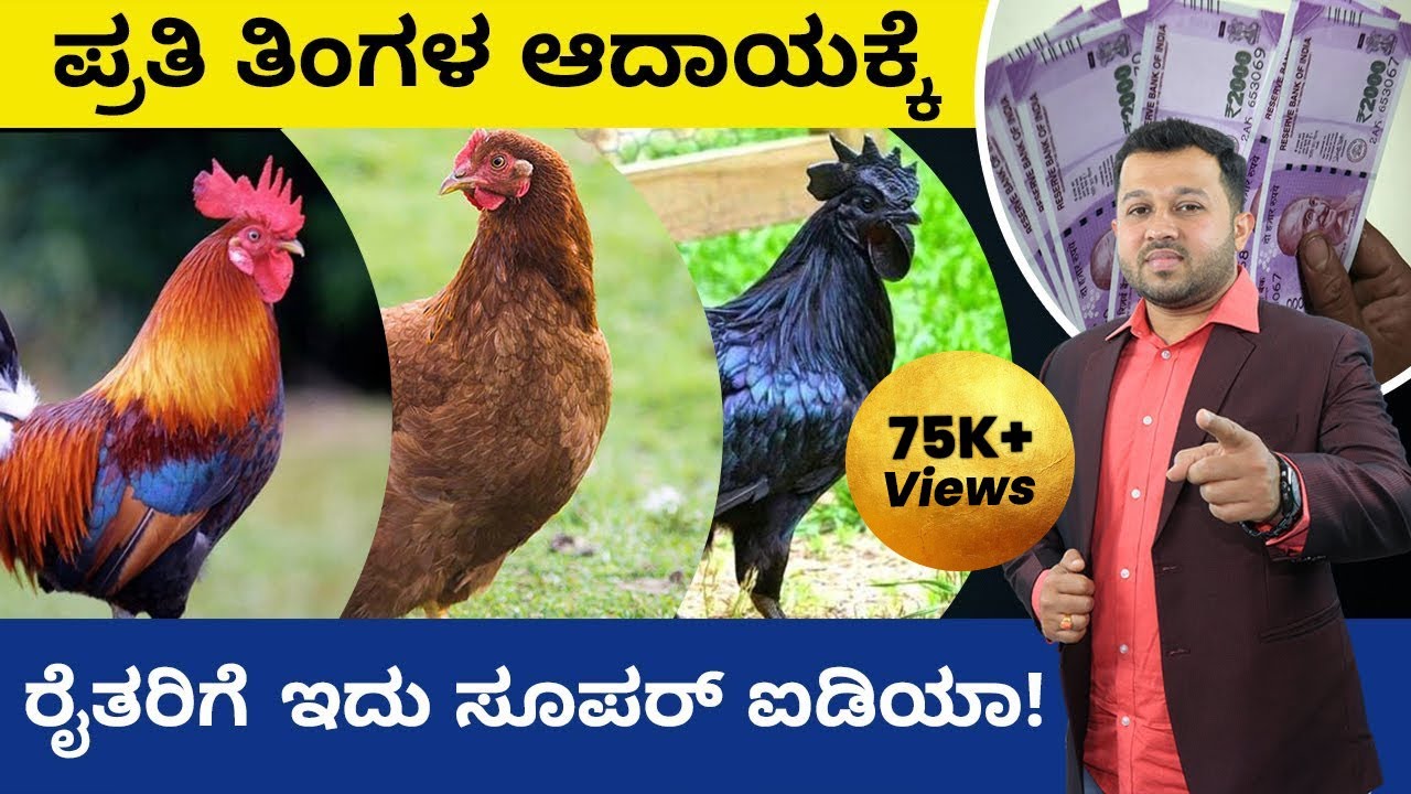 Poultry Farming in Kannada - Top 5 Chicken Breeds for Farmer's Income | Shesha Krishna