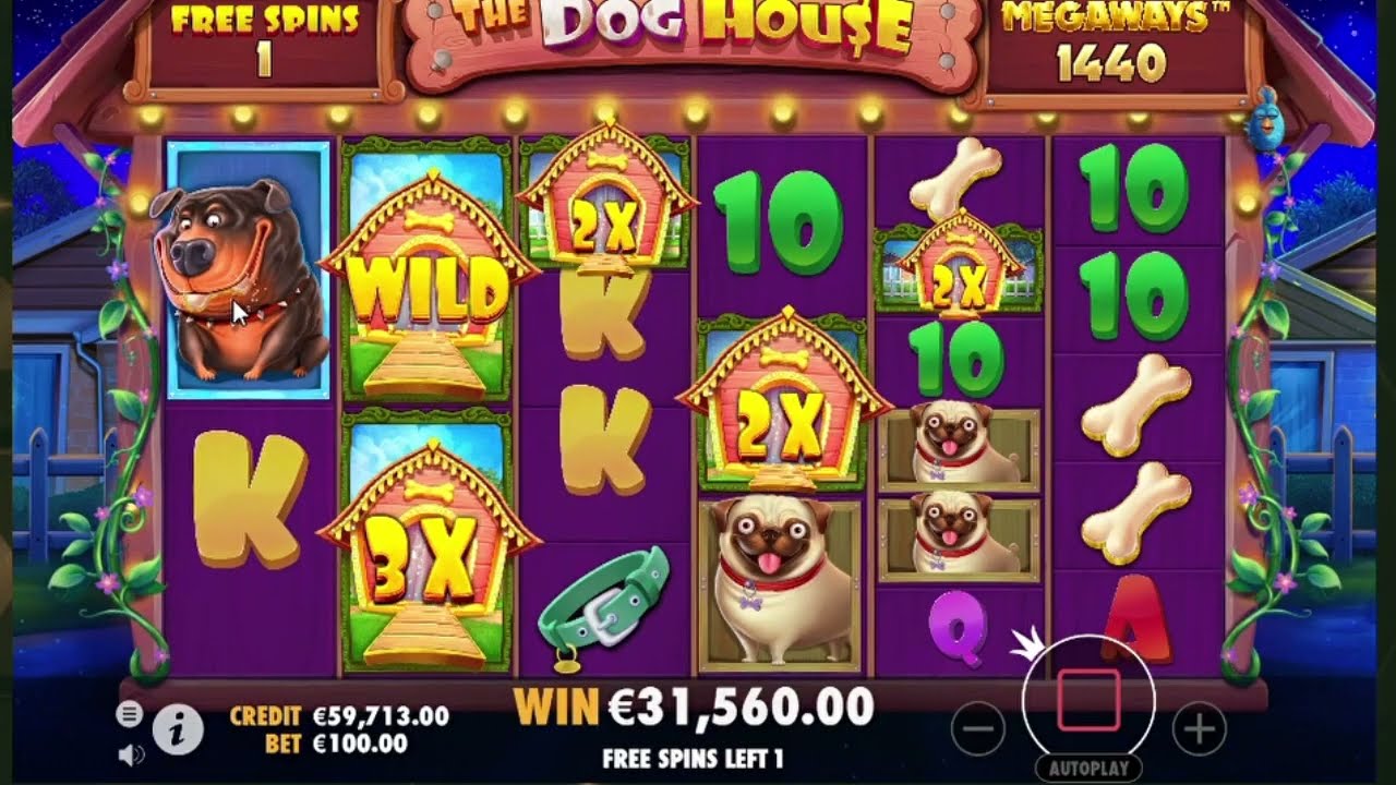 The Dog House Megaways Sticky Wilds Free Spins Big Win Episode 1