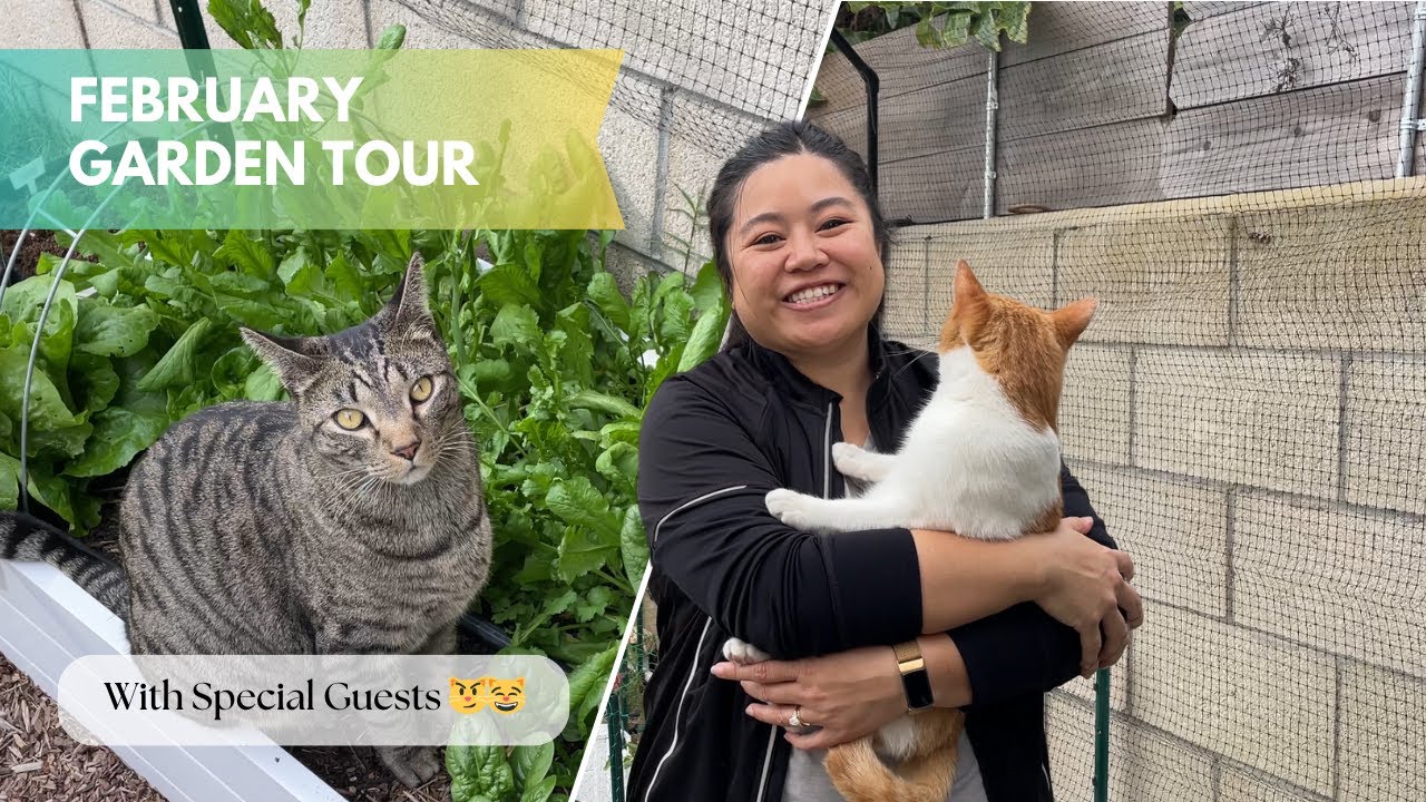 February Garden Tour - with some 😸 Friends |  Flower Patch Blooms