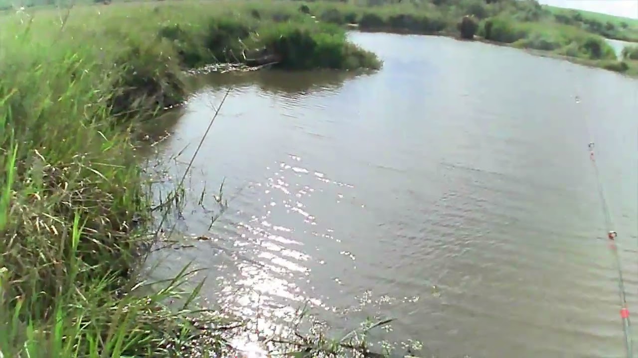 Pescaria de barranco 