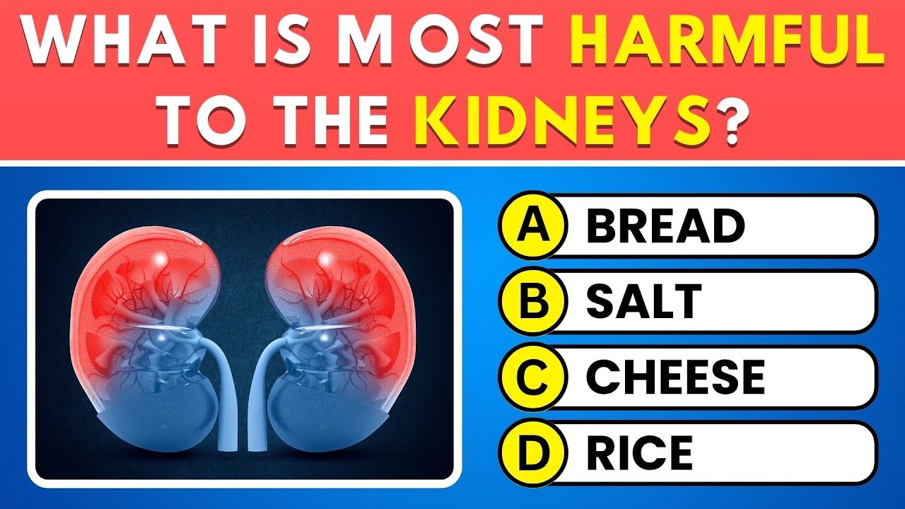 Can You Pass This Human Body Quiz? 🧠 50 Anatomy Trivia Questions! 💪