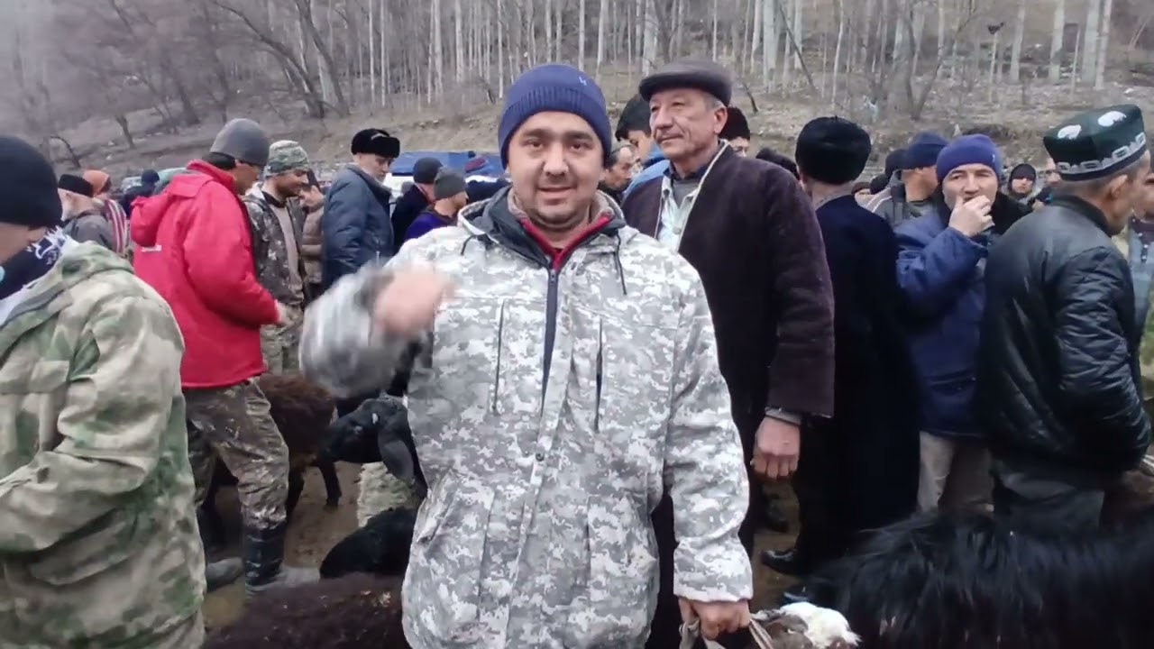 МОЛБОЗОРИ ЧОРШАНБЕ Ш ПАНЧАКЕНТ 11 02 2026